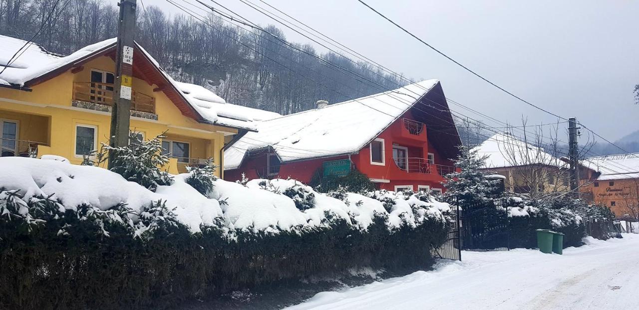 Pensiunea Marinela Sighetu Marmaţiei Dış mekan fotoğraf
